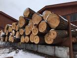 Unedged sawn timber, pine - фото 1