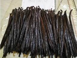 Getrocknete Vanilleschoten in Premiumqualität, 100 % rein, natürlich, biologisch