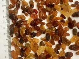 Виноград сушеный для кондитерской выпечки (Чалифар) Влажности от 12 до 17 %