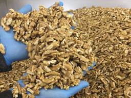 Walnuss, Walnut, Ceviz 2020-2021