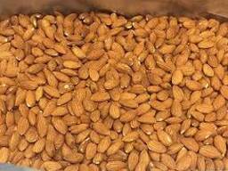 Walnuts, Betel Nuts, Cashew Nuts, Almond for sale
