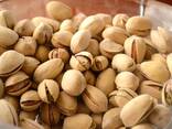 Walnuts, Peanuts, Cashew Nuts, Almond Nuts, Pistachios Nuts for Sale - фото 1