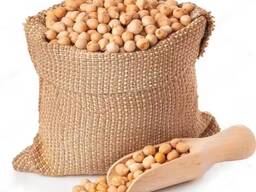 Weiße Kabuli-Kichererbsen