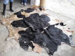 Wet salted cow hid skin/ wet salted cow head skin/dried limed split cow hide skin