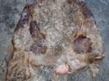 Wet salted cow hid skin/ wet salted cow head skin/dried limed split cow hide skin - фото 1