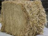 Wheat straw - photo 1