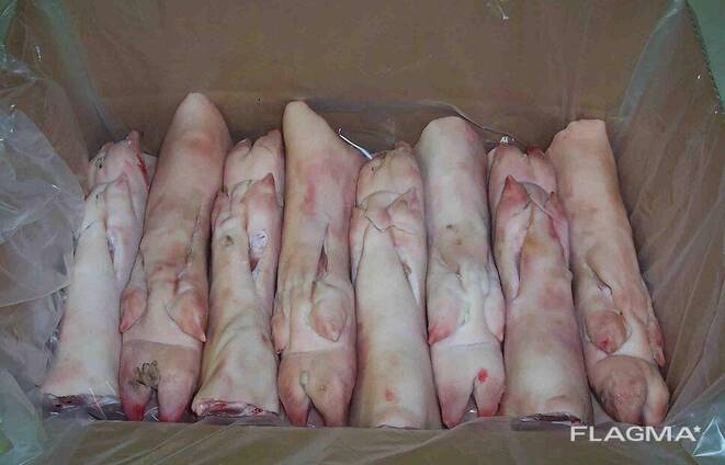 Wholesale Frozen Quartino Cut Pork Leg in Spain Buy the best grade of frozen pork leg