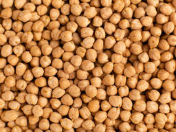 Wir bieten Kichererbsen an