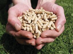 Premium Quality Wood Pellets