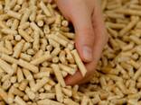 Wholesale High Premium Quality wood pellets Big or 15 kg bags | Fuel Manufacturer - photo 2
