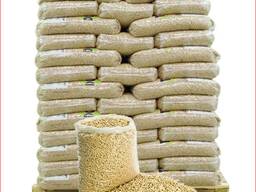 Wood pellets available in Spain