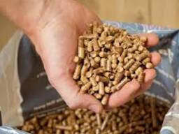 Enplus A1 wood pellets