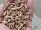 Wood pellets | Holzpellets | Hersteller | 1000 Ton | Ökobrennstoff | EU EXPORT-IMPORT - фото 1