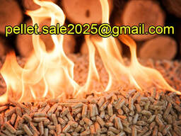 Holzpellets Pellets Hersteller EXPORT