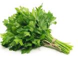 Greens, Dill and Parsley from Uzbekistan - фото 1