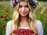 Zusammenarbeit. Tiefgefrorene Beeren aus Weißrussland für 2025 - фото 1
