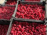 Zusammenarbeit. Tiefgefrorene Beeren aus Weißrussland für 2025 - фото 3