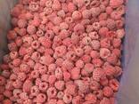 Zusammenarbeit. Tiefgefrorene Beeren aus Weißrussland für 2025 - фото 4